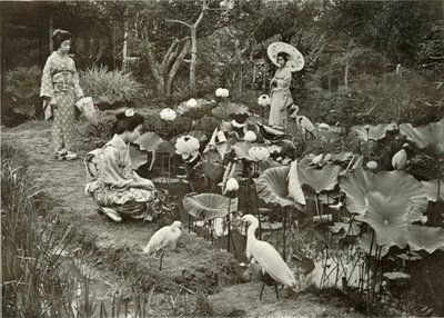V Lotosové zemi, 1910. od Herbert Ponting