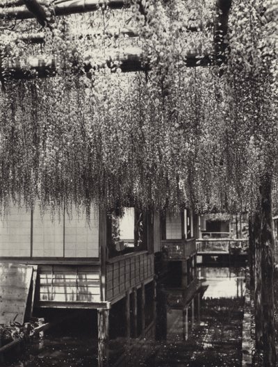 Japonsko ve 20. letech: Tokio, Kameido (č/b foto) od Herbert Ponting