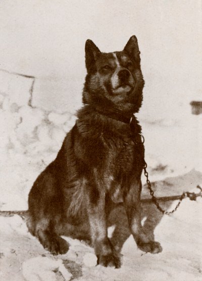 Krisravitsa, c19101913, 1913 od Herbert Ponting