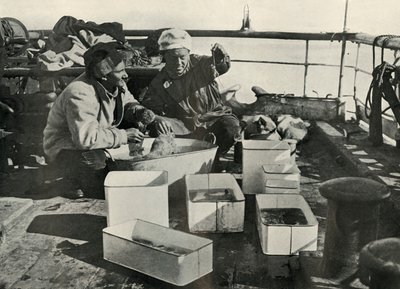 Lillie a Dr. Levick Třídění úlovku vlečnou sítí, c19101913, 1913 od Herbert Ponting