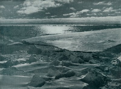 Moonlight in the Pack, c19101913, 1913 od Herbert Ponting