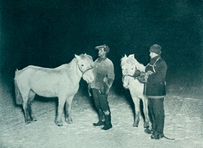 Poddůstojníci Crean a Evans cvičí své poníky v zimě, 1911, 1913 od Herbert Ponting