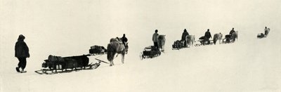 Poníci v březnu 1911, 1913 od Herbert Ponting