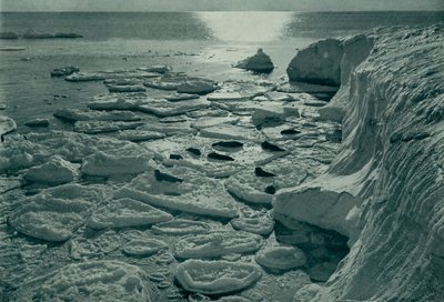 Tuleni se vyhřívají na nově vytvořeném palačinkovém ledu z Cape Evans, c19101913, 1913 od Herbert Ponting