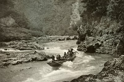 Střelba na peřeje Katsura-Gawa, 1910. od Herbert Ponting