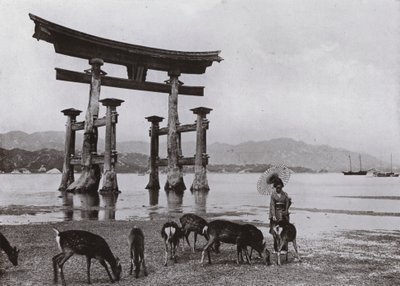 Stará Torii v Miyajima (černobílá fotografie) od Herbert Ponting