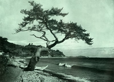 Strom a vlna, 1910. od Herbert Ponting