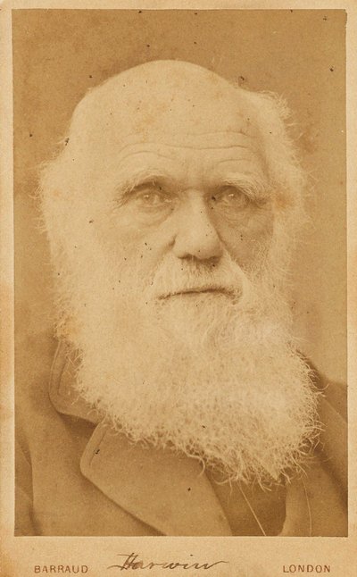 Portrét Charlese Darwina 1809-1882, 1881. od Herbert Rose Barraud