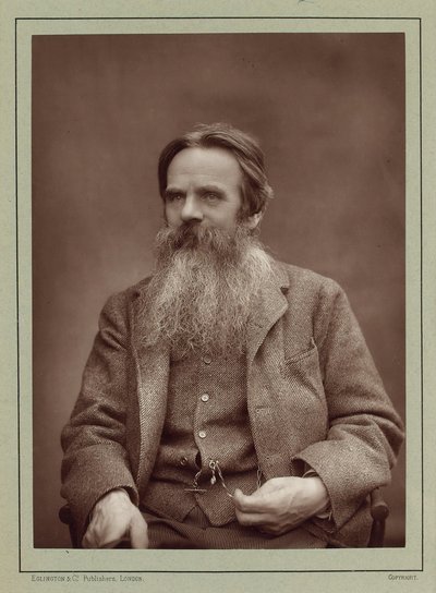 Portrét malíře Williama Holmana Hunta 1827-1910, cca 1885. od Herbert Rose Barraud