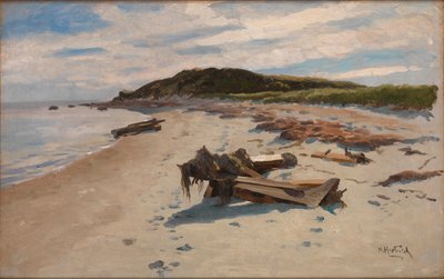Cape Cod, Pláž od Herman Hartwich