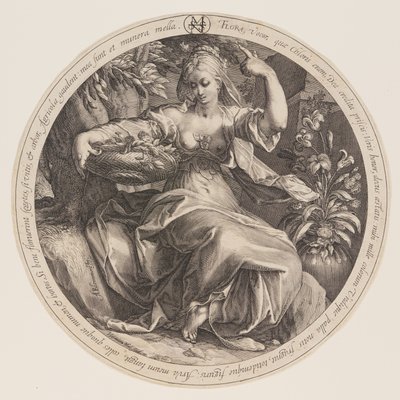 Flora od Herman Jansz. Muller