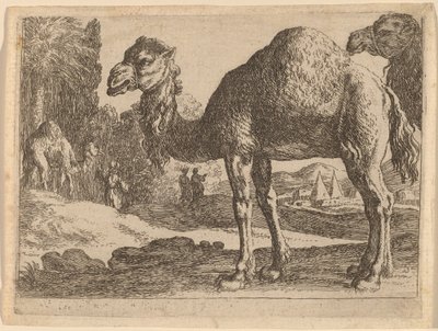 Velbloudi od Herman van Swanevelt