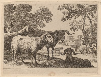 Berani od Herman van Swanevelt