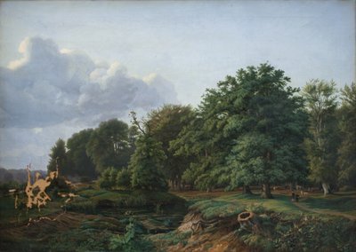 Les poblíž Hellebæk na severu Zélandu. Odpoledne. od Hermann Carmiencke
