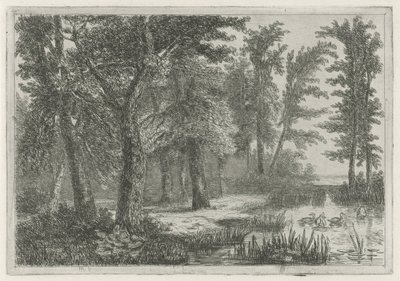 Výhled na les s rašeliništěm s kachnami od Hermanus Jan Hendrik van Rijkelijkhuysen