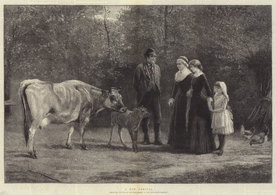 Nový příchod od Heywood Hardy