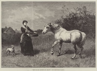Nenechat se chytit plevami od Heywood Hardy