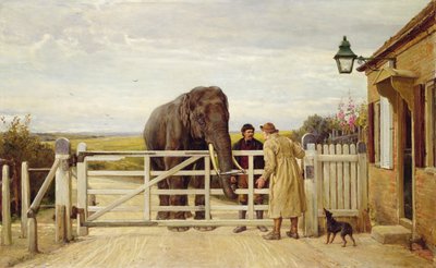 Sporné mýtné od Heywood Hardy