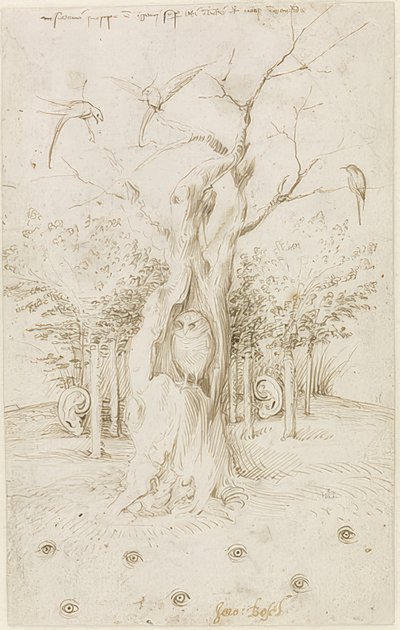 Pole má oči, les má uši od Hieronymus Bosch