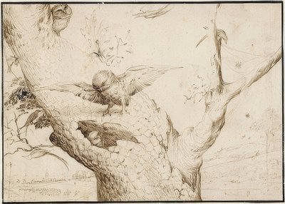 Eulennest. A 1505-10 od Hieronymus Bosch
