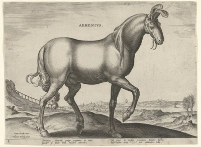 Kůň z Arménie (Armenius) Arméni (titul na předmětu) Plemena koní z královské stáje Dona Juana z Rakouska (název seriálu) Equile Ioannis Austriaci Caroli (název série) od Hieronymus Wierix