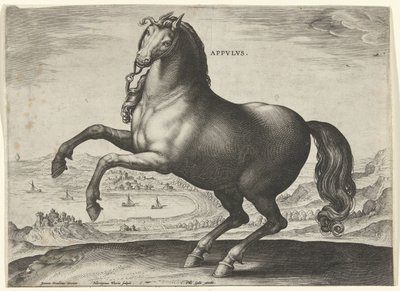 Kůň z jižní Itálie (Appulus) Appvlvs (název na objektu) Plemena koní z královské stáje Dona Juana z Rakouska (název seriálu) Equile Ioannis Austriaci Caroli (název série) od Hieronymus Wierix