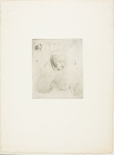 René-Hilaire De Gas, dědeček umělce od Hilaire Germain Edgar Degas