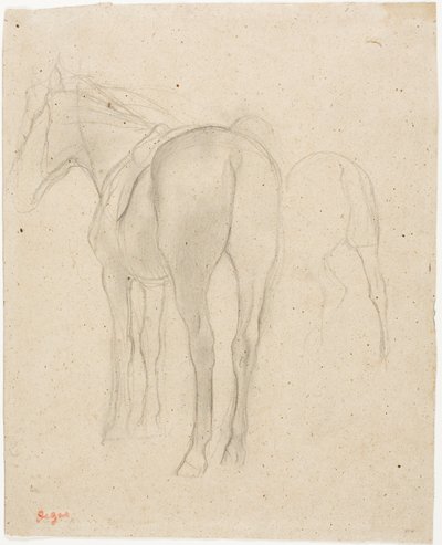 Studie koně od Hilaire Germain Edgar Degas