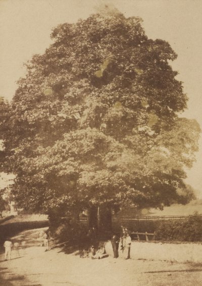 [Roslin] od Hill and Adamson