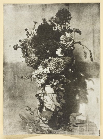 Kytice květin od Hippolyte Bayard
