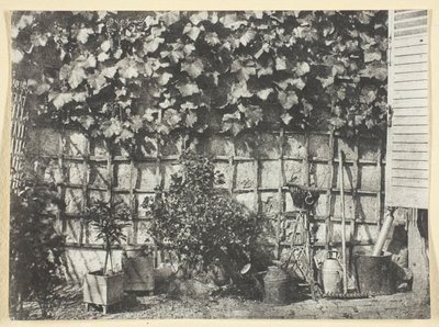 La Treille od Hippolyte Bayard