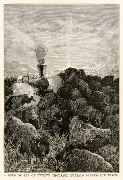Stádo deseti nebo dvanácti tisíc bizonů zatarasilo cestu, z knihy Cesta kolem světa za osmdesát dní od Julese Verna (1828-1905), vyryla Louis Prevost, 1873 od Hippolyte Leon Benett