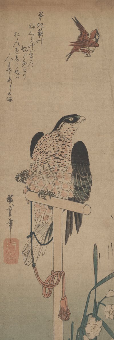 Sokol na okoun, vrabec a narcis od Hirokage Utagawa