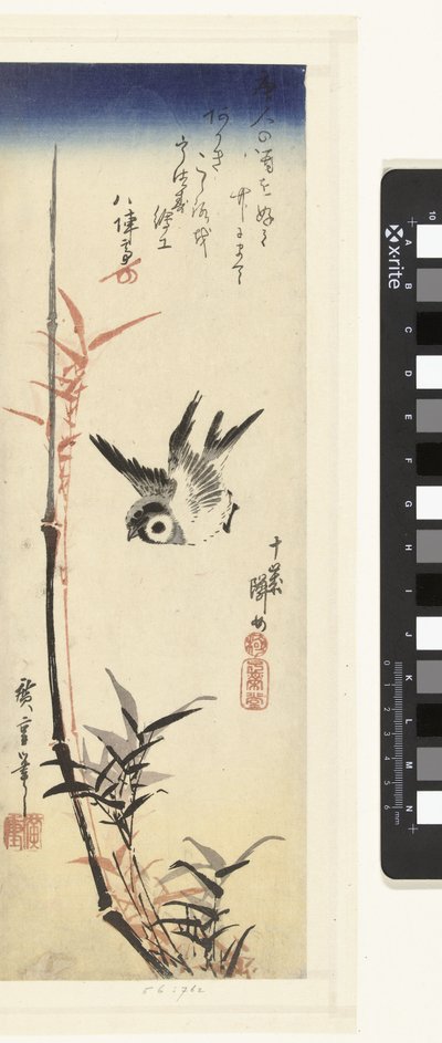 Bambus a Mus od Hiroshige (I) , Utagawa
