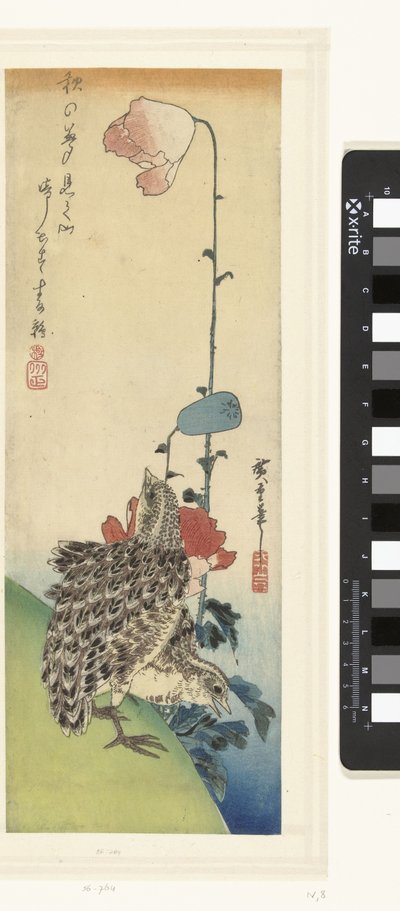 Křepelka a mák od Hiroshige (I) , Utagawa