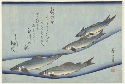 Pstruh od Hiroshige (I) , Utagawa