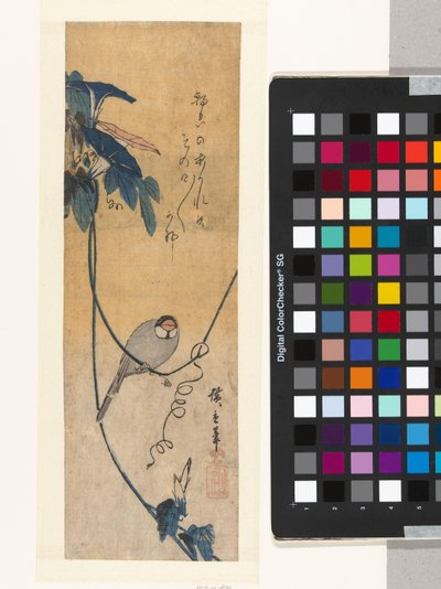 Pták a modrá svlačec od Hiroshige (I) , Utagawa