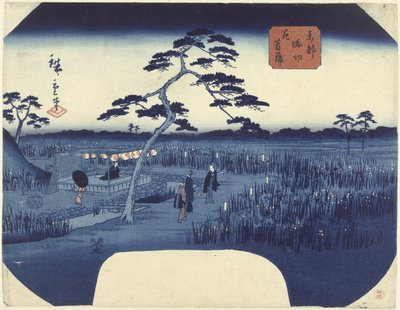Kvetoucí kosatce v Horikiri ve východním hlavním městě Toto Horikiri hanashobu (titul na objektu) od Hiroshige (II) , Utagawa