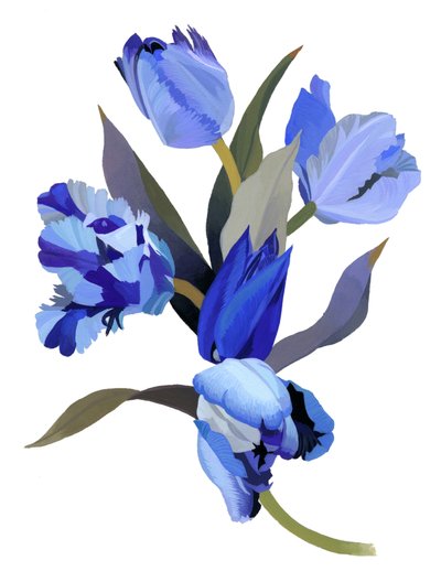 Modrý tulipán od Hiroyuki Izutsu