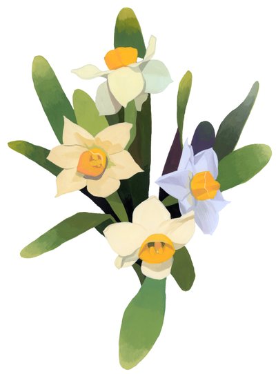 Narcis od Hiroyuki Izutsu