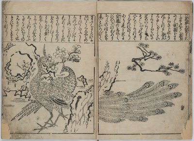 Sbírka květin a ptáků (Kacho zukushi) od Hishikawa Moronobu