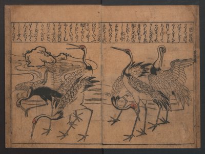 Illustrationen von Vögeln und Blumen (Kachō e-zukushi) od Hishikawa Moronobu