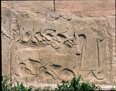 Pohled na základnu reliéfů Brány Sfingy od Hittite Hittite