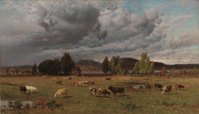 Pastviny v Häme od Hjalmar Munsterhjelm