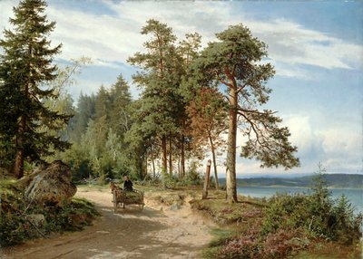 Silnice ve Finsku od Hjalmar Munsterhjelm