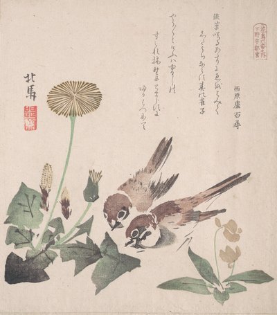 Spring Rain Collection Harusame shu, sv. 3: Vrabci a pampelišky, ca. 1820, ca. 1820. od Hokuba