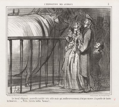 Expozice zvířat: Kráva-slon, nová odrůda od Honoré Daumier