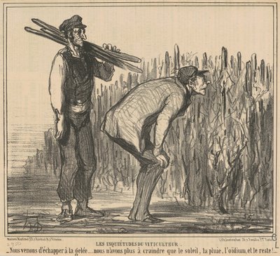 Obavy vinařů od Honoré Daumier
