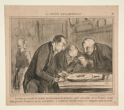 Vědci na vrcholu radosti uvažují o prvním malém krokodýlovi od Honoré Daumier