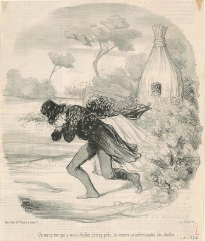 Gentleman, který chtěl studovat... zvyky... včel od Honoré Daumier
